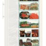 Морозильный шкаф с функцией NoFrost SGN 3063 Comfort NoFrost