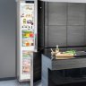 Двухкамерный холодильник Liebherr CBNPgb 4855 Premium BioFresh NoFrost