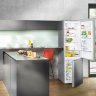 Двухкамерный холодильник Liebherr CNPef 4813 NoFrost